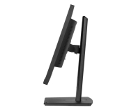 iiyama ProLite XUB2497HSU-B2 - 1284774 - zdjęcie 10